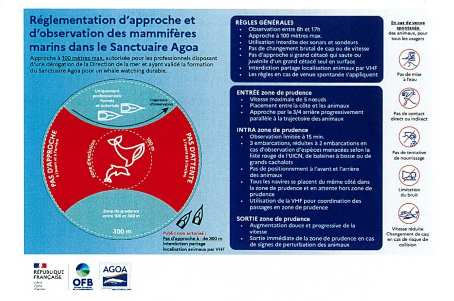 Sortie en mer Martinique